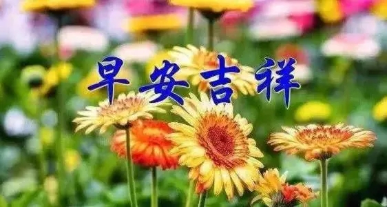 2024年的早安问候语