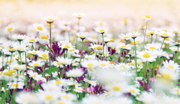 不自觉的人经典语录文案