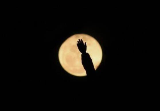 此朋友圈永不更新图片