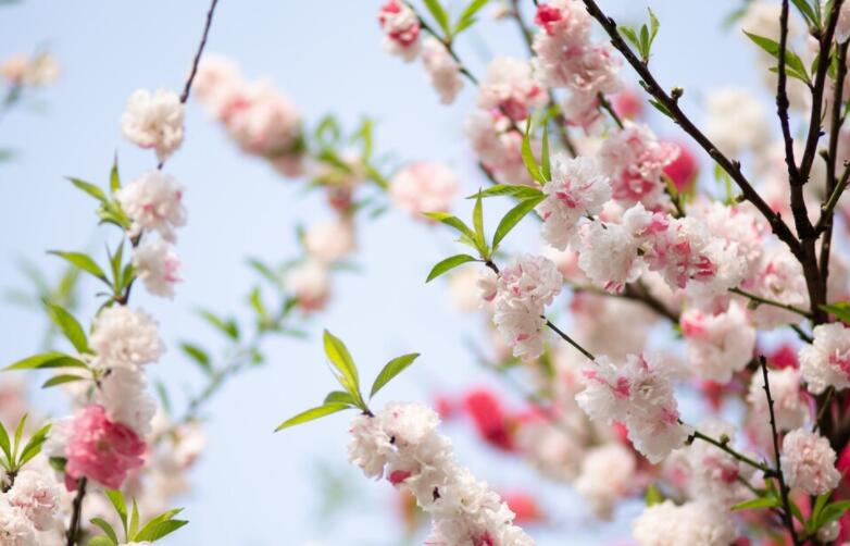 关于节气的段落摘抄