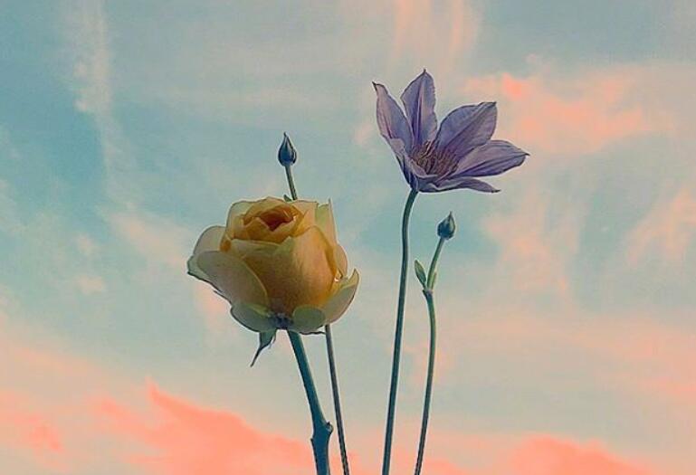 早安的朋友圈说说文案