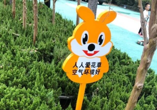 爱护小草的标语