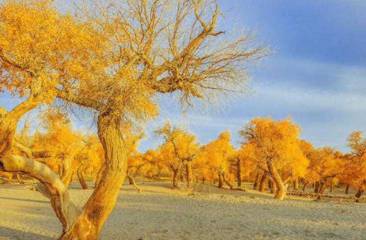 人活着要争口气的句子文案