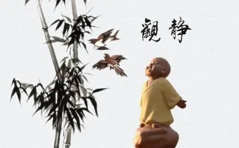 关于佛说缘分的经典句子文案素材