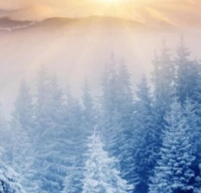 关于雪的诗句优美句子文案