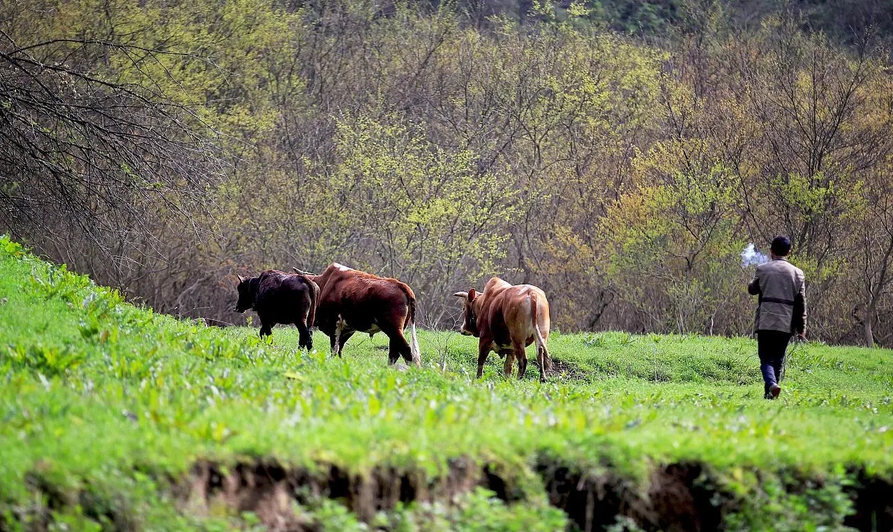 问候祝福动态音乐图片