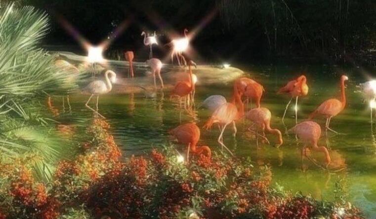 温柔撩人的句子文案