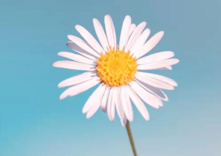 工作自我介绍写一段话