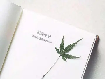 活成自己喜欢的样子经典语录文案