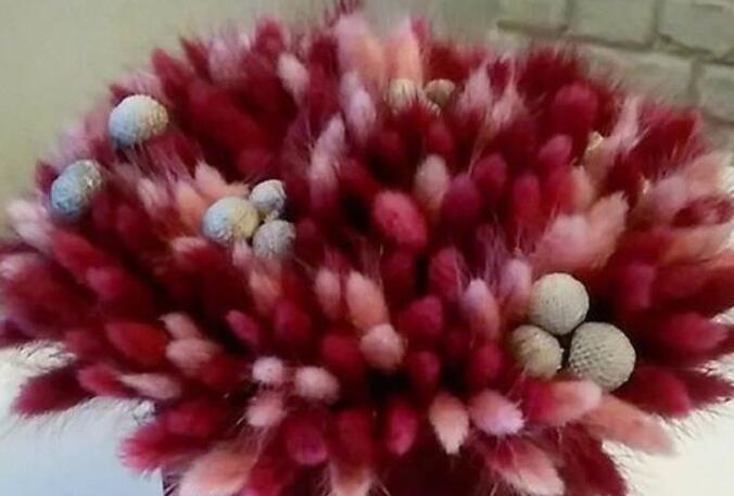 节日感慨说说文案