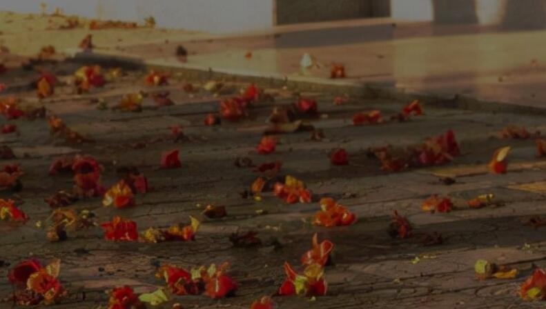 表达不舍的朋友圈句子文案