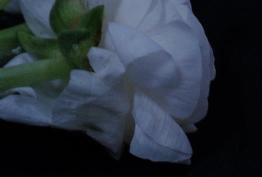 表达不满的说说文案