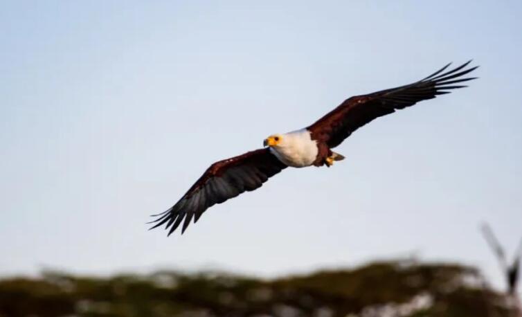 向上向善的励志诗词