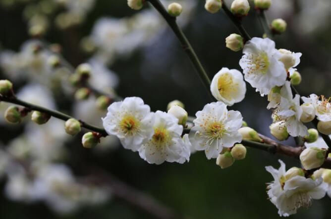 论语句子文案摘抄