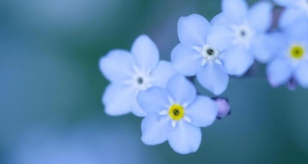 爱情伤感的句子文案