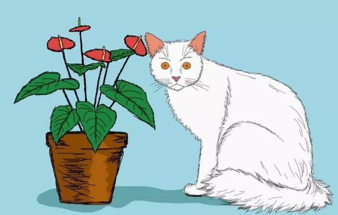 描写动物的好词好句文案