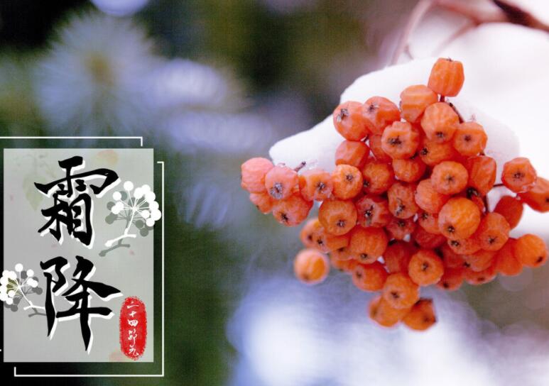 比喻霜降的句子文案