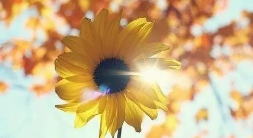 人生最重要的四句话