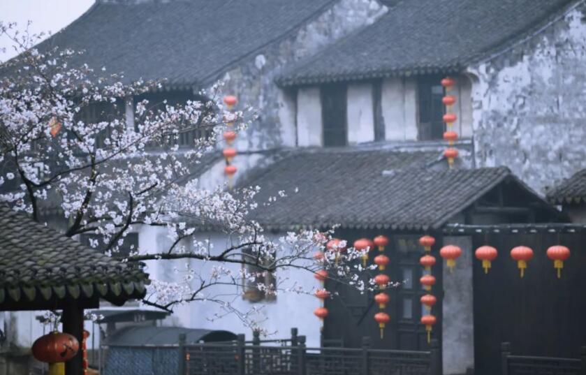 好听有意境的古诗句文案