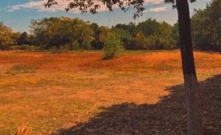 爱祖国的句子文案