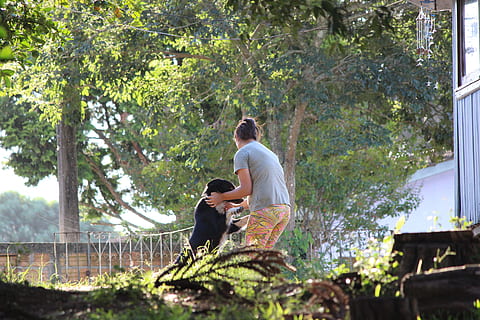 单身求撩的说说文案