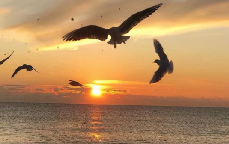 甜到腻的小情话文案