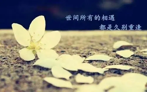 久别重逢的朋友相聚的句子文案