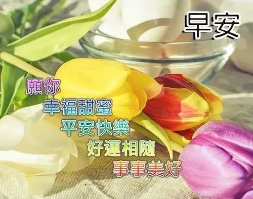 早上给男朋友的暖心问候