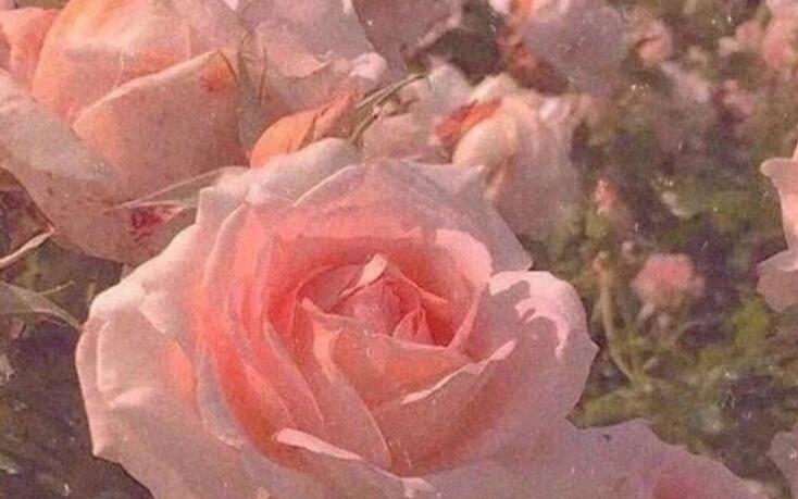 我喜欢你说说文案简短