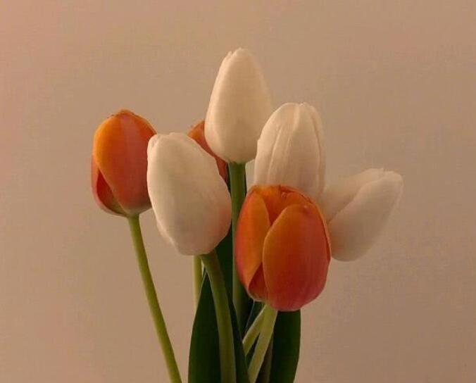 微信现实说说文案心情