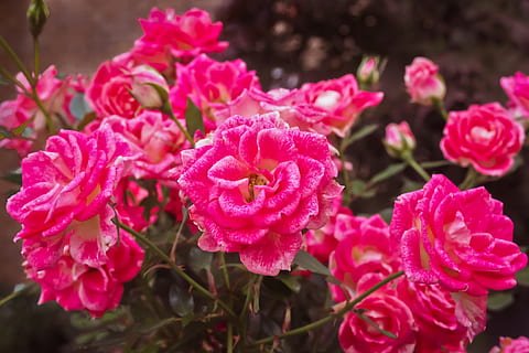 爱情哲理句子文案简短的