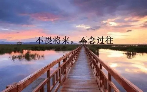 励志感言经典语句文案