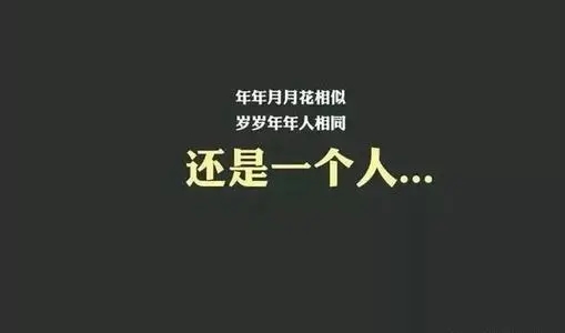 打动人心的经典语录文案