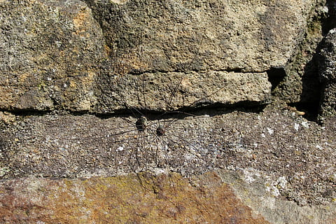 胶囊句子文案短话