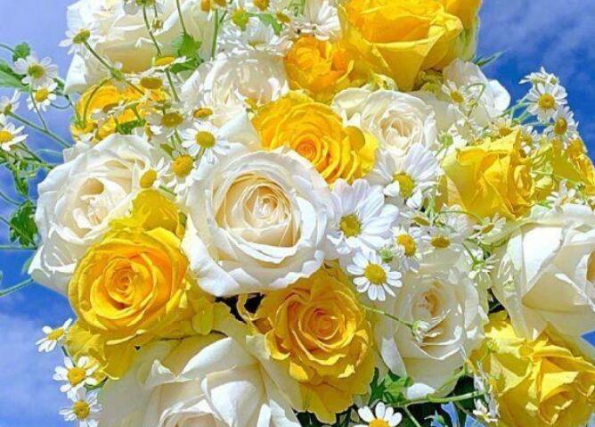 充满希望的句子文案八个字