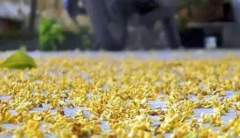 初夏的说说文案简单