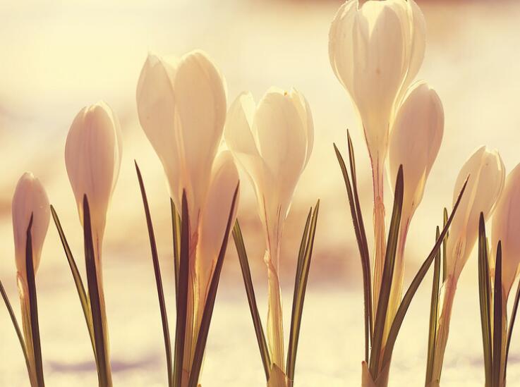 让人瞬间醒悟的话