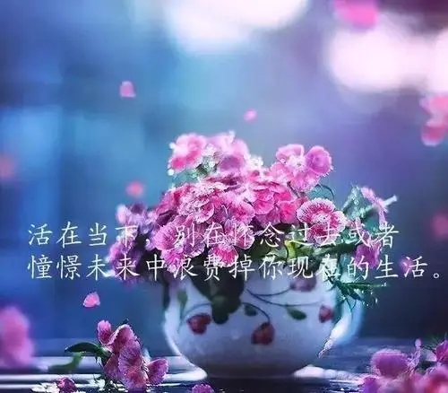 幸福生活的说说文案心情短语