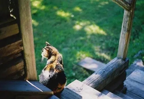 享受慵懒时光的句子文案