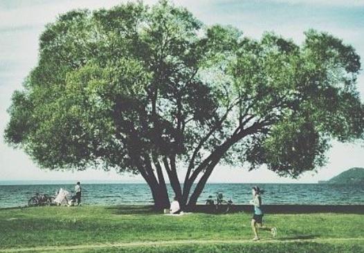 人生最经典的话