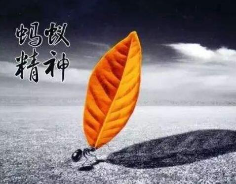 不服输的经典语录文案