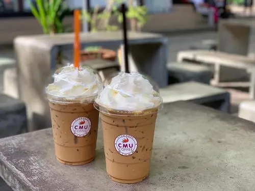 自由与浪漫文案