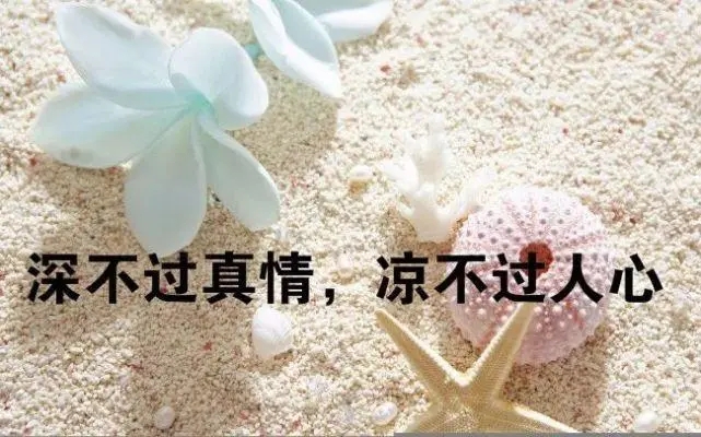 伤透心的句子文案说说心情