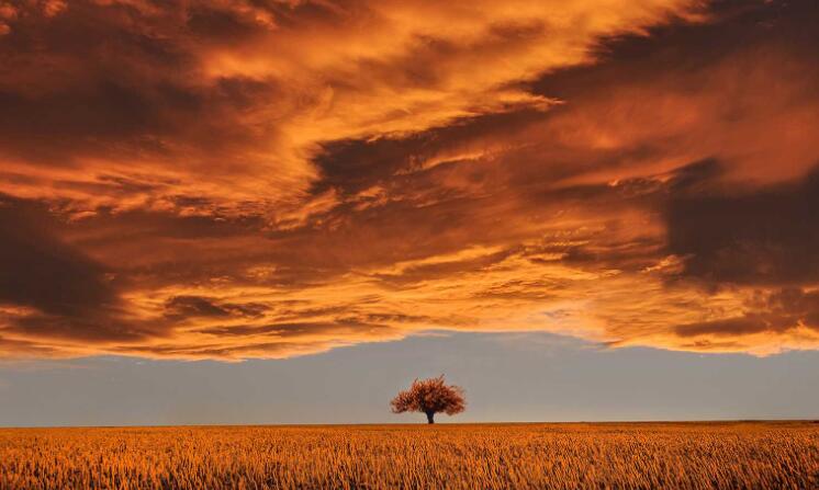 关于现实生活的短句子文案