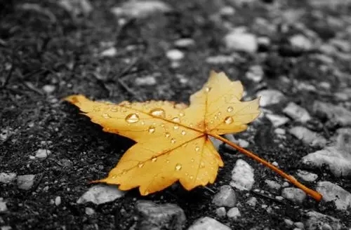 写秋风的唯美句子文案