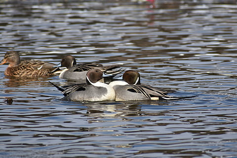 爱情励志名言短句霸气
