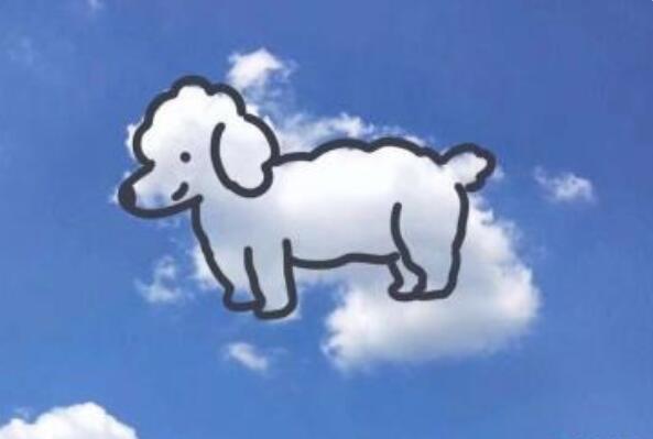 形容玩得很嗨的句子文案