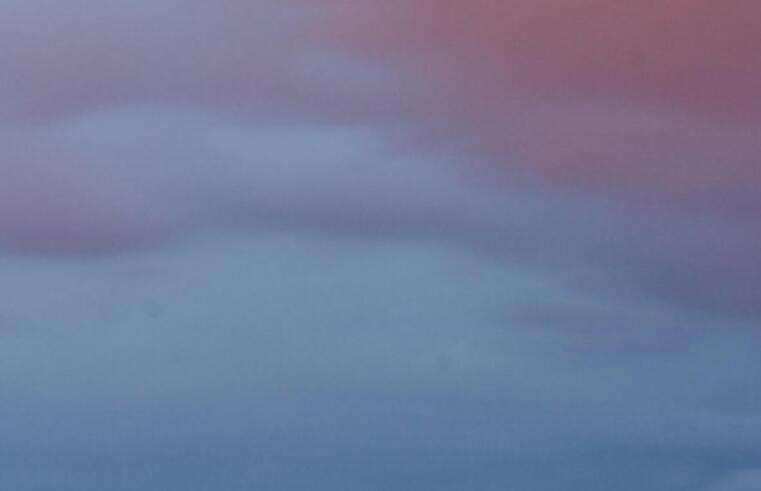 谁不想小鸟依人语录文案