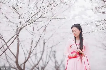 一见钟情的诗句文案