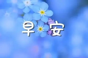 最贴心的哲理早安问候